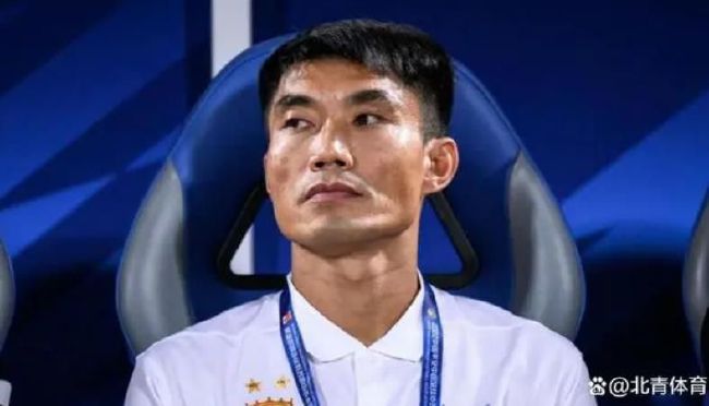 国产一区二区大片在线观看