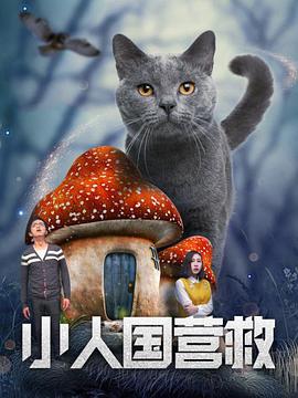 一区二区三区不卡免费视频97
