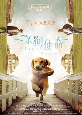 国产黄色片在线免费观看