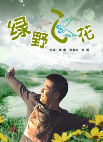 久久精品a