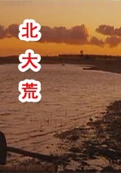国产99高清一区二区